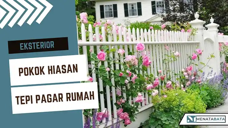 Idea Pokok Hiasan Tepi Pagar Rumah yang Cantik