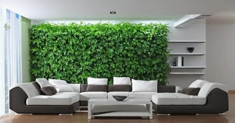 Sudut Tumbuhan Vertikal