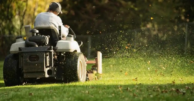 Faktor Menentukan Upah Potong Rumput 1 Hektar