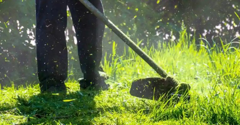 Kos Upah Potong Rumput 1 Hektar di Malaysia